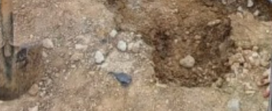 2000769928_9crqNMUd_5ef91422f2427bf2600415e56a1e558cdccdae02.jpg 이미지크게보기